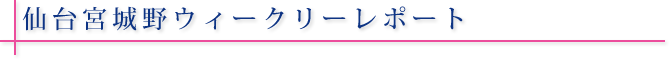 仙台宮城野ウィークリーレポート